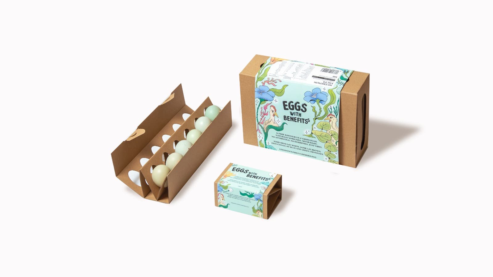 EWB product range — 12-pack and 2-pack